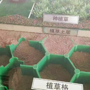 植草格施工