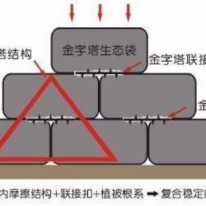 ​生态袋施工案例大全