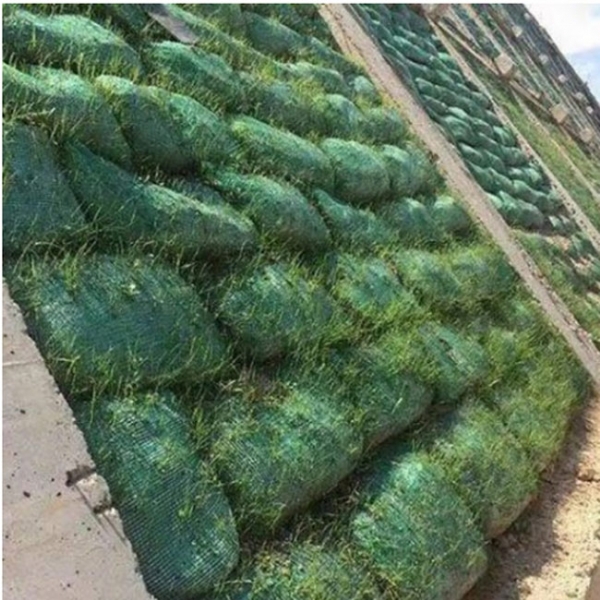 草籽植生袋--格构梁绿化护坡