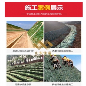 护坡用生态袋施工案例