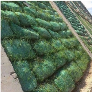 草籽植生袋--格构梁绿化护坡